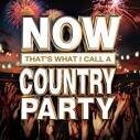 Joe Nichols - Now That's What I Call a Country Party