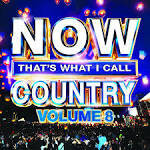 Sam Hunt - Now That's What I Call Country, Vol. 8