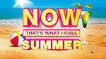 Tinchy Stryder - Now That's What I Call Summer