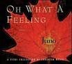 Saga - Oh What a Feeling: A Vital Collection of Canadian Music