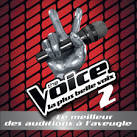 The Voice 2: Le Meilleur des Auditions à L'Aveugle