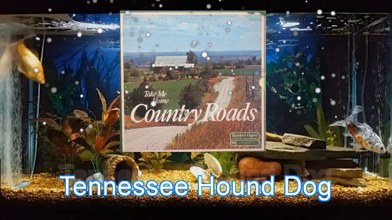 Tennessee Hound Dog - Tennessee Hound Dog