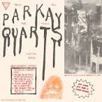 Parquet Courts - Light Up Gold/Tally All the Things That You Broke