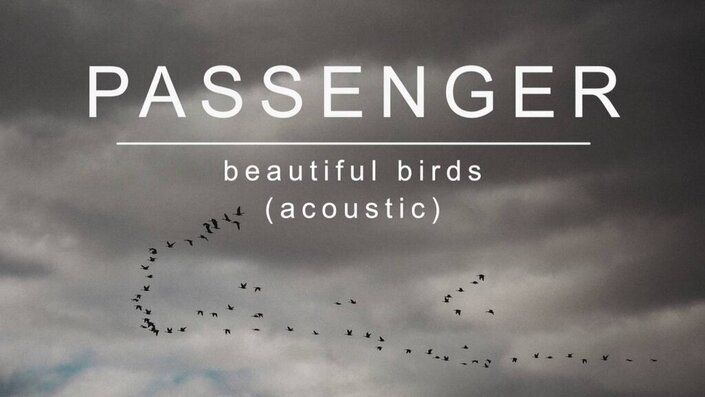 Passenger and Birdy - Beautiful Birds [Acoustic]