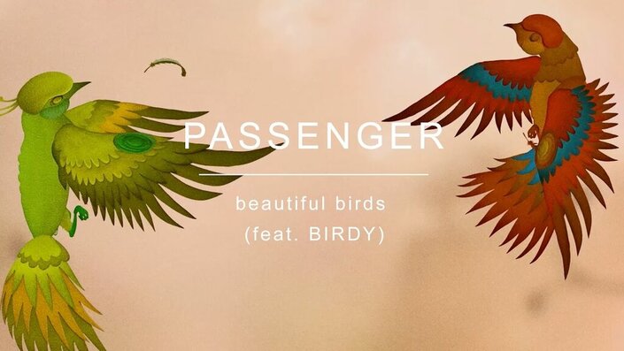 Passenger and Birdy - Beautiful Birds
