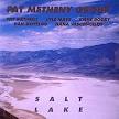 Pat Metheny - Salt Lake