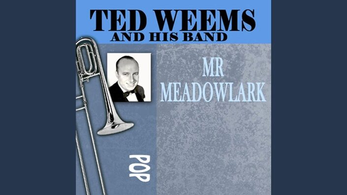 Mr. Meadowlark - Mr. Meadowlark