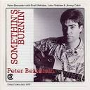 Peter Bernstein - Somethin's Burnin'