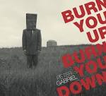 Peter Gabriel - Burn You Up Down