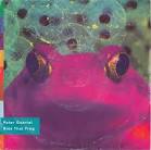 Peter Gabriel - Kiss That Frog