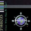 Can You See It Yet?: Invisible Records Complilation