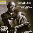 Pinetop Perkins - Born in the Delta