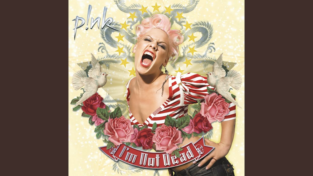 P!nk and James T. Moore - I Have Seen the Rain