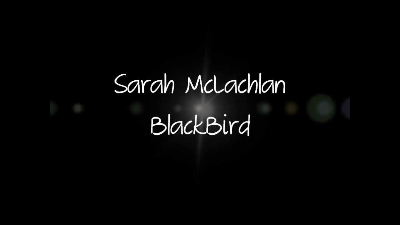 Rachael Ray and Sarah McLachlan - Blackbird