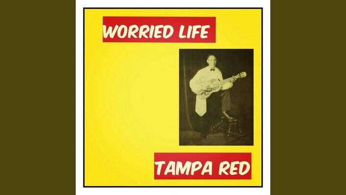 Worried Life Blues - Worried Life Blues