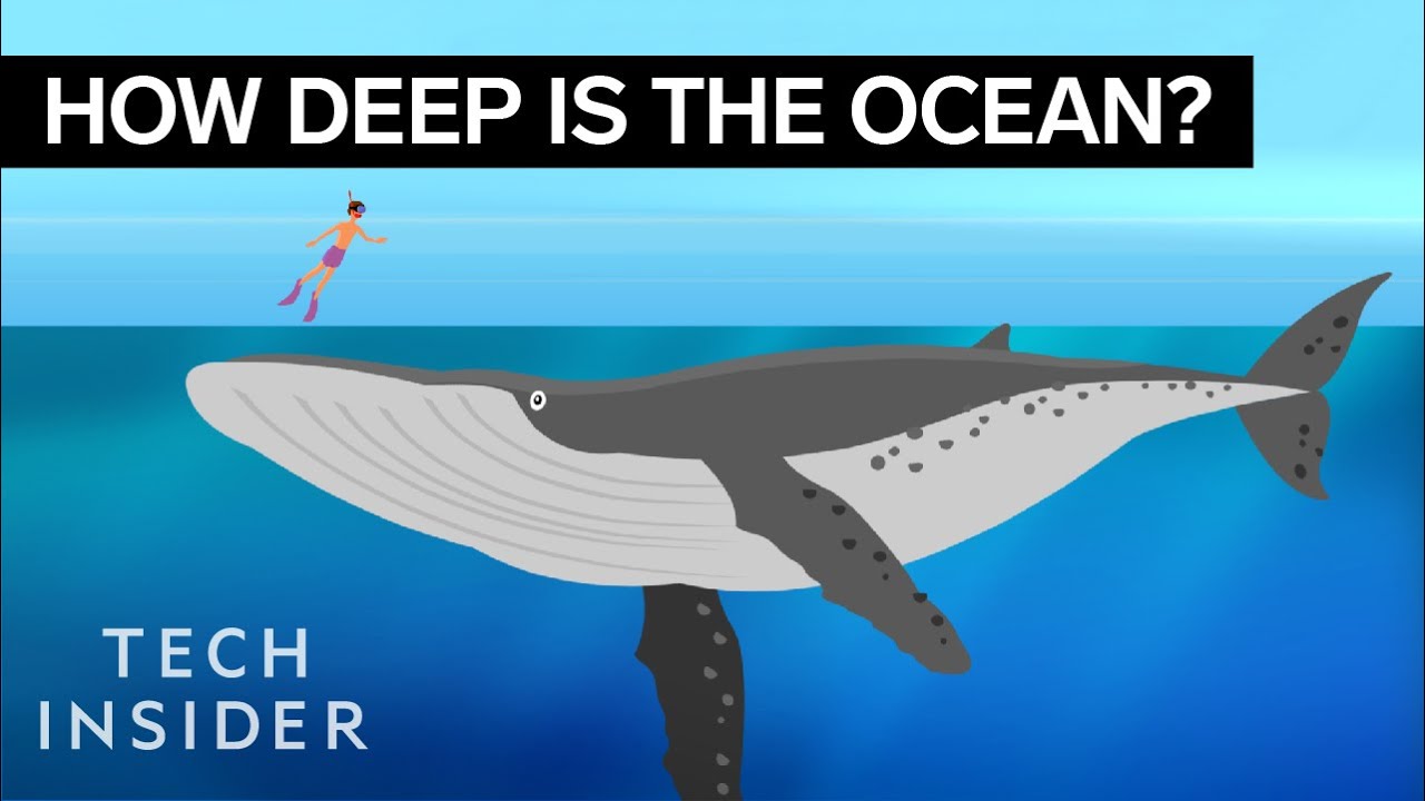 How Deep Is the Ocean