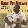 Robert Pete Williams - I'm as Blue as a Man Can Be