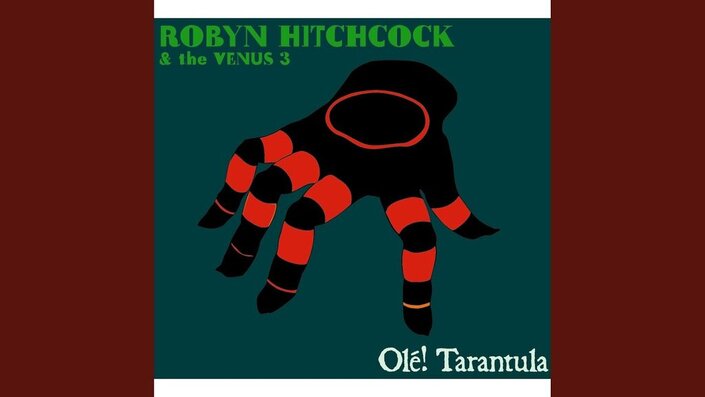 Robyn Hitchcock & the Venus 3 and Robyn Hitchcock - 'Cause It's Love (Saint Parallelogram)