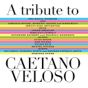 Rodrigo Amarante - You Don't Know Me: A Tribute to Caetano Veloso