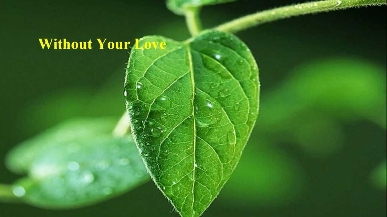 Without Your Love - Without Your Love