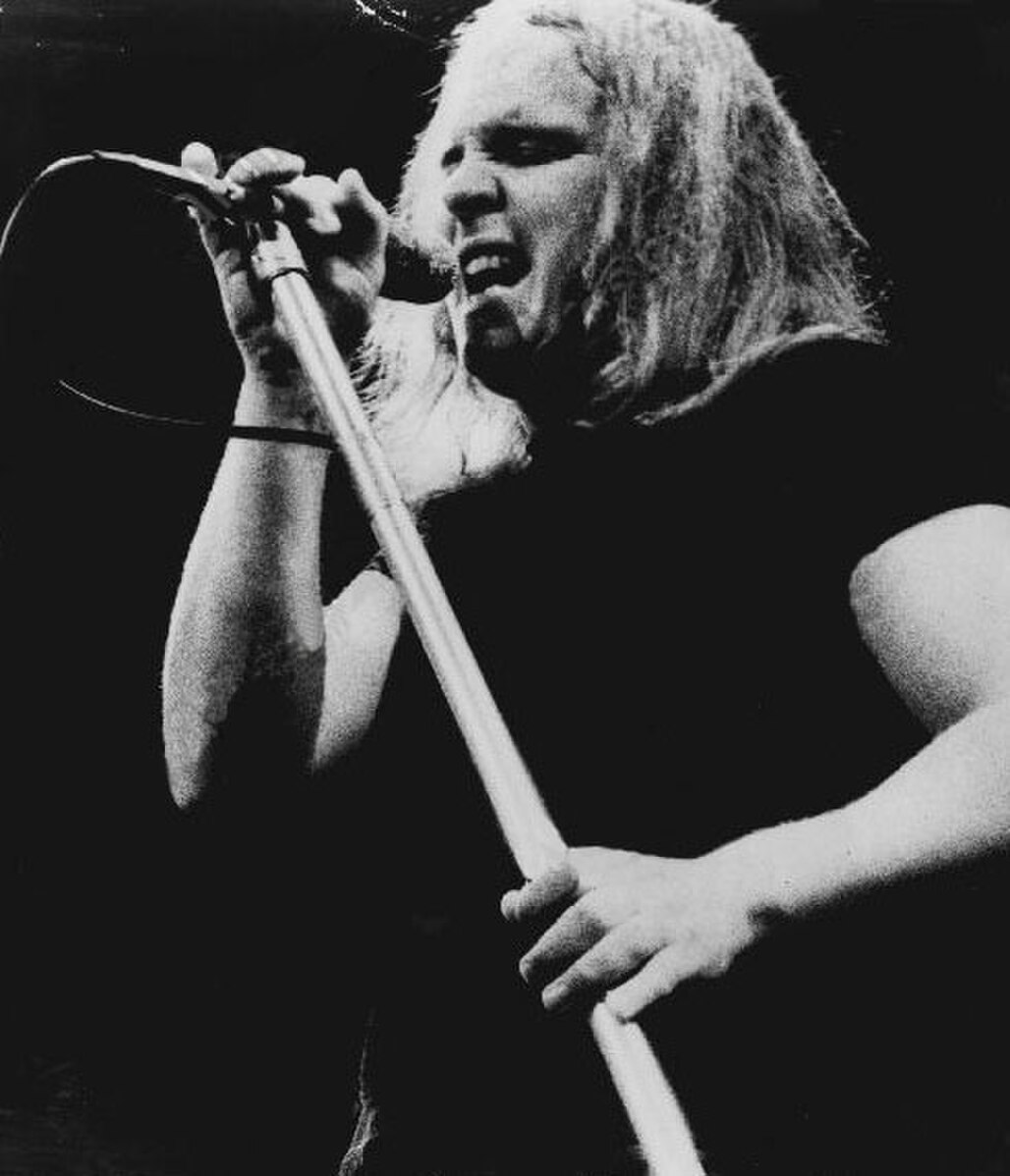 Ronnie Van Zant - Chronicles