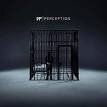 Ruelle and NF - Perception