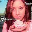 Safura - Drip Drop