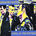 Saigon Kick - Devil in the Details [Japan Bonus Tracks]