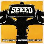 Seeed - Wonderful Life