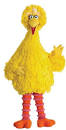 Big Bird - Sesame Street: Summer Collection