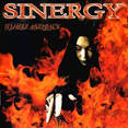 Sinergy - To Hell & Back [Bonus Tracks]