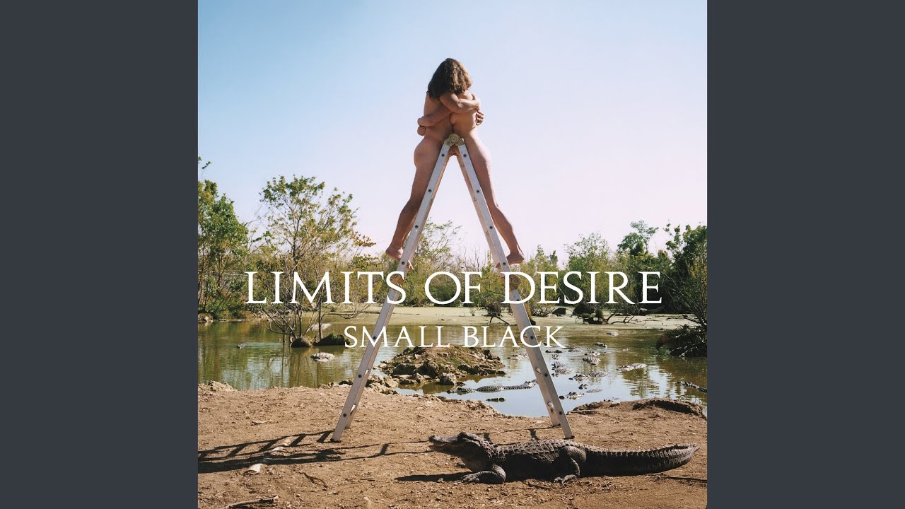 Small Black - Only a Shadow