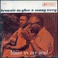 Sonny Terry - Blues in My Soul
