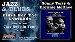 Sonny Terry - Blues from the Lowlands
