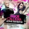 Sophie Ellis-Bextor - Can't Fight This Feeling