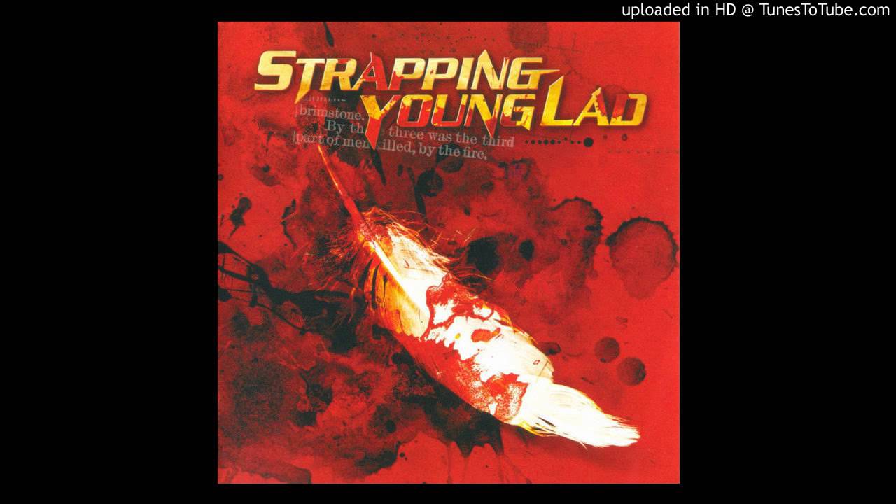 Strapping Young Lad - Aftermath