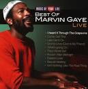 Music of Your Life: Best of Marvin Gaye