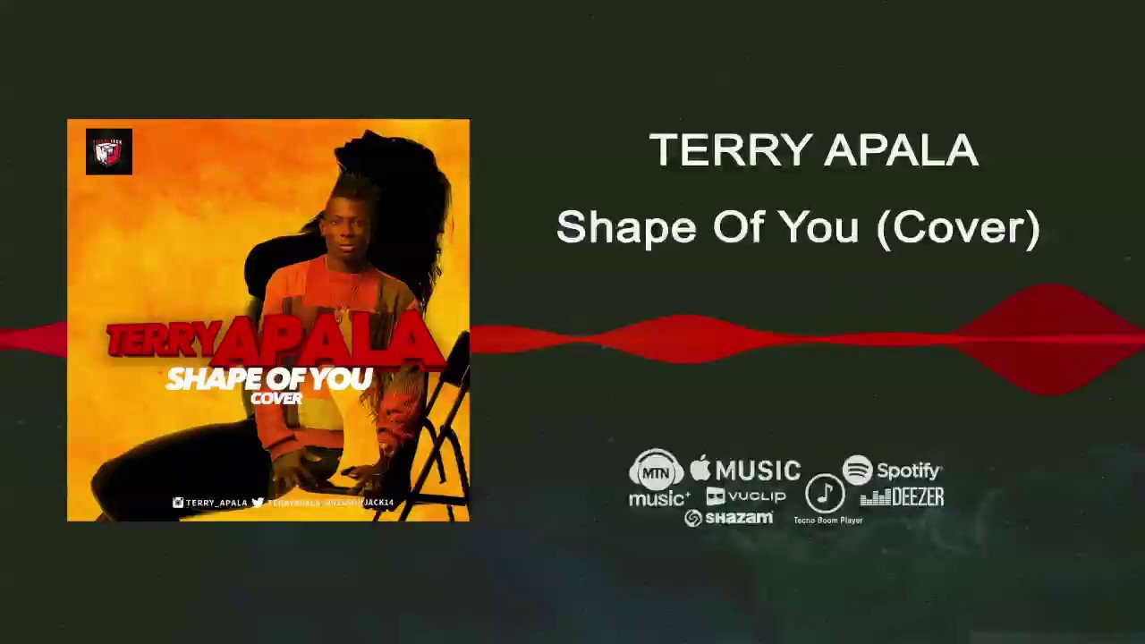 Terry Apala - Shape of You