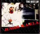 Aaliyah - The Best of Junior M.A.F.I.A.