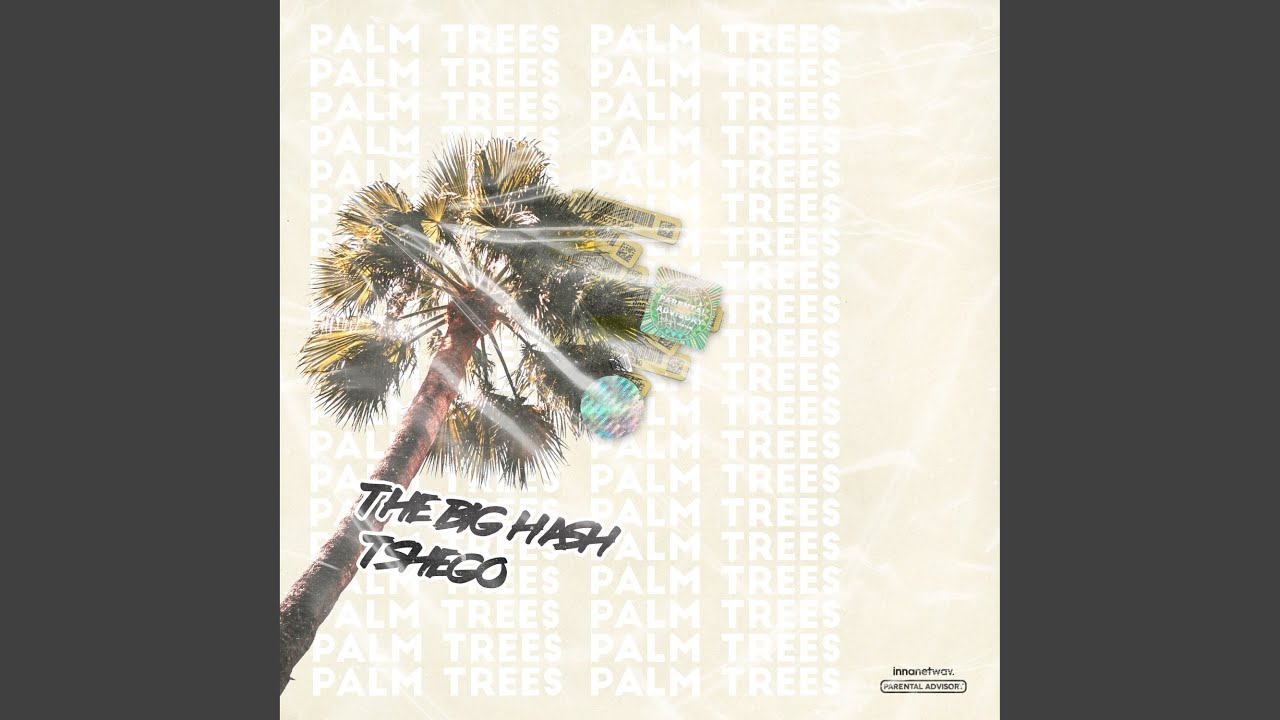 The Big Hash and Tshego - Palm Trees