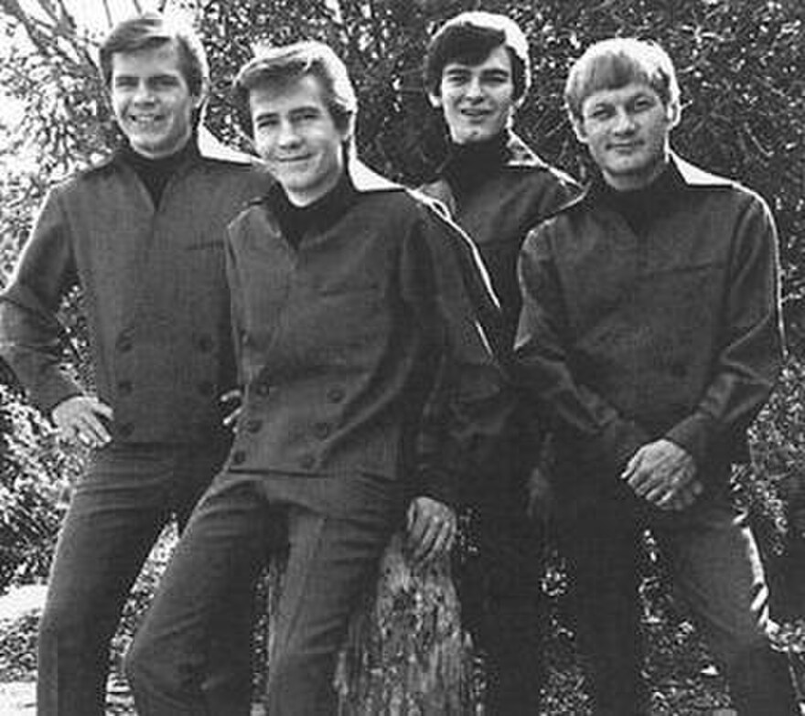 The Bobby Fuller Four - I Fought The Law