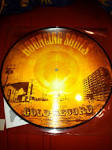 The Bouncing Souls - The Gold Record: Picture Disc