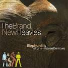 The Brand New Heavies - Elephantitis: The Funk & House Remixes