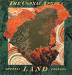 The Comsat Angels - Land