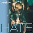 The Delgados - Hate