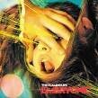 The Flaming Lips - Embryonic [2CD/1DVD]