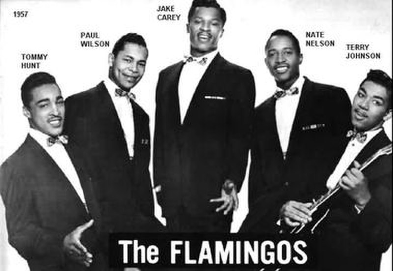 The Flamingos