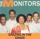 The Monitors - Grazing in the Grass