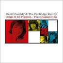 The Partridge Family - Could It Be Forever... The Greatest Hits