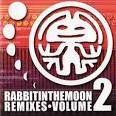 The Smashing Pumpkins - Rabbit in the Moon Remixes, Vol. 2